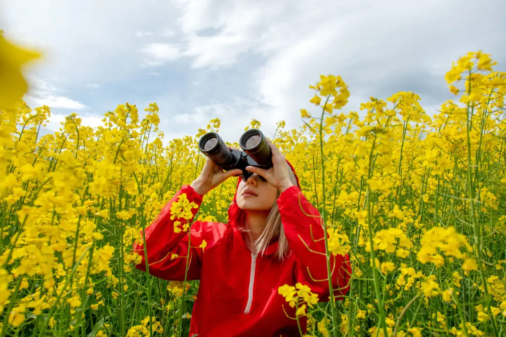 Different Ways of Prospect Hunting