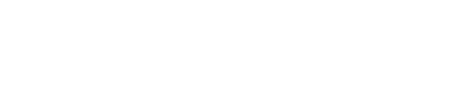 Netplatforms logo white