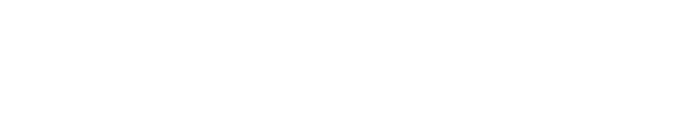 Signularitee logo white