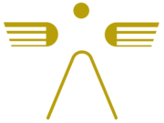 Wingman-Web-First-Class