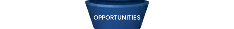 Opportunities