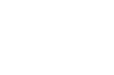 Pax8 Logo
